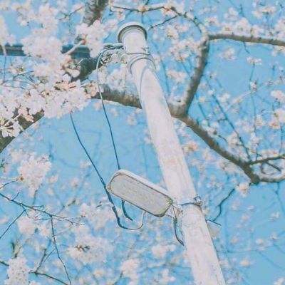 战争余烬pvp官方下载